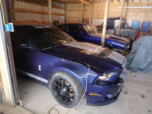 2010 Shelby Mustang GT 500 for sale in Morning View, OH