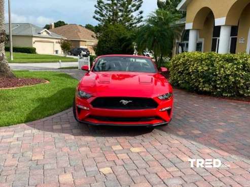 2019 Ford Mustang - - by dealer - vehicle automotive for sale in TAMPA, FL