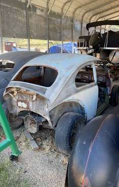 1961 Volkswagen Bug rhd for sale in Paso robles , CA