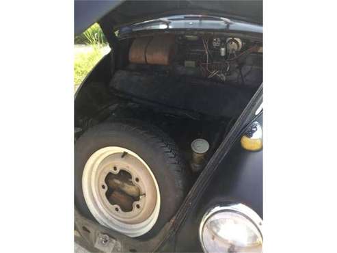 1964 Volkswagen Beetle for sale in Cadillac, MI