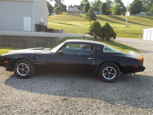 1979 Pontiac Firebird Trans Am for sale in Racine, OH