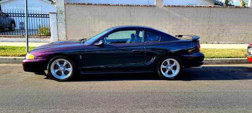 Supercharged 1996 SVT Cobra , Rare Mystic w/58k Orig miles - cars & for sale in Van Nuys, CA