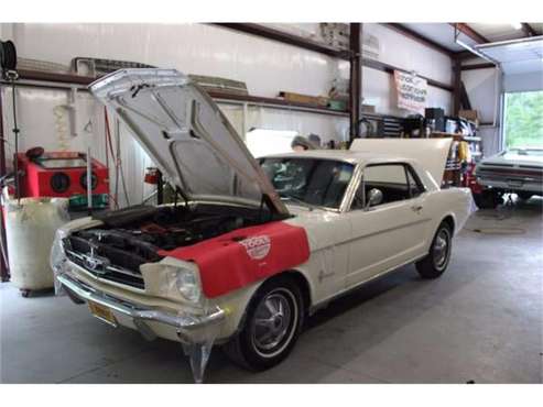 1965 Ford Mustang for sale in Cadillac, MI