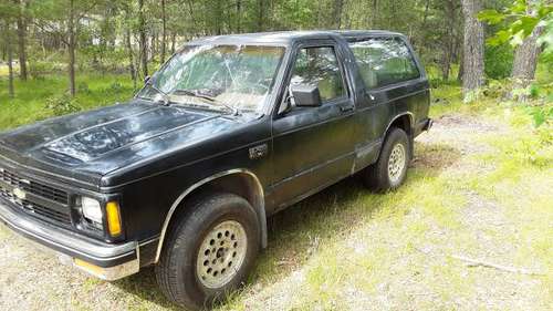 1988 CHEVY S10 BLAZER for sale in Saint Helen, MI