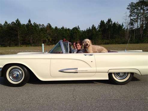 1959 Ford Thunderbird for sale in Ormond Beach, FL