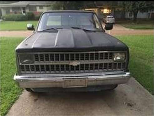 1981 Chevrolet C10 for sale in Cadillac, MI