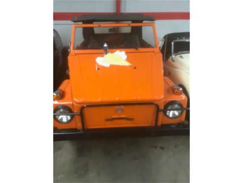 1974 Volkswagen Thing for sale in Cadillac, MI