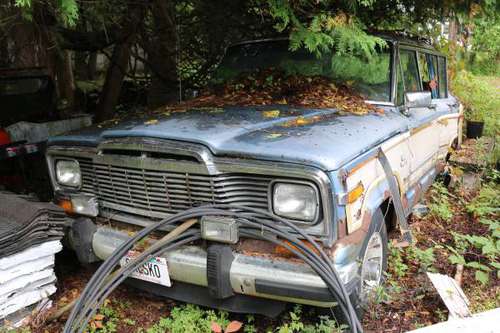 1984 Jeep Grand Wagoneer for sale in Ephraim, WI