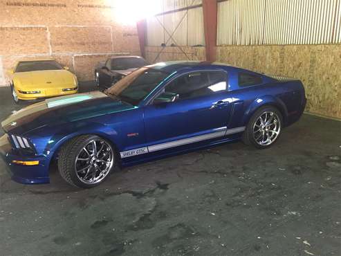 2008 Shelby Mustang for sale in Denver , CO