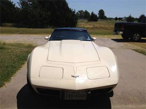 1979 Chevrolet Corvette for sale in Cadillac, MI