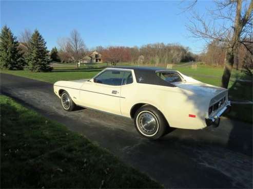 1973 Ford Mustang for sale in Cadillac, MI