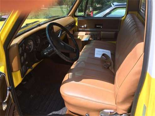 1974 Chevrolet C10 for sale in Cadillac, MI