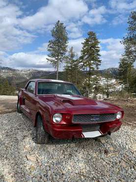 1966 Ford Mustang for sale in Kila, MT