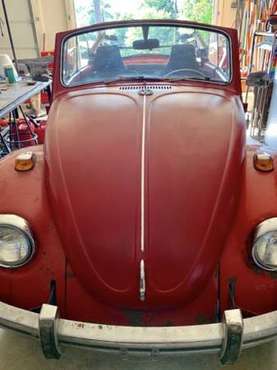1968 VW Beetle Bug Convertible Autostick for sale in Fayetteville, AR