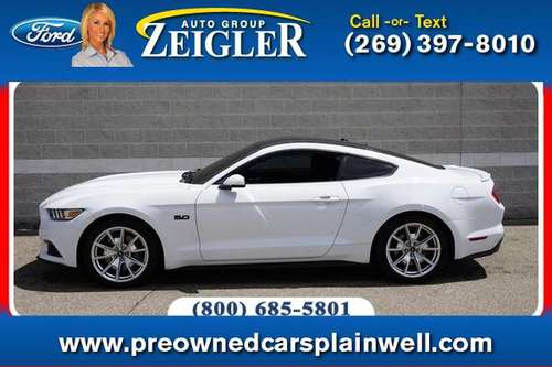 2015 Ford Mustang GT 50th Anniversary - - by for sale in Plainwell, MI