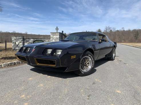 1980 Pontiac Firebird Trans Am for sale in Pen Argyl, PA