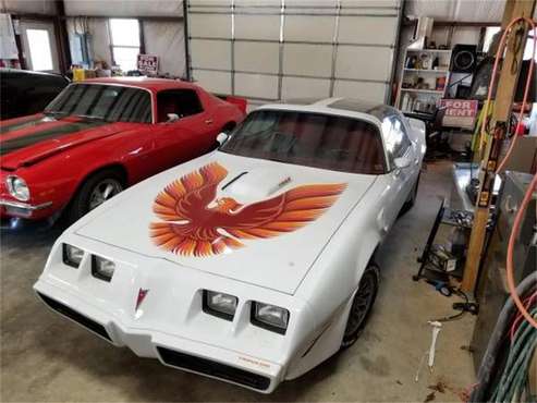 1979 Pontiac Firebird Trans Am for sale in Cadillac, MI