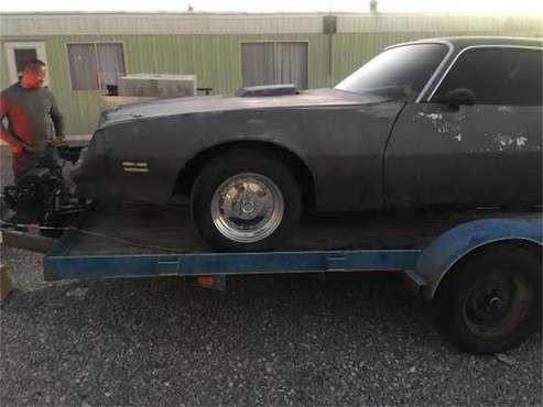 1976 Pontiac Firebird for sale in Cadillac, MI