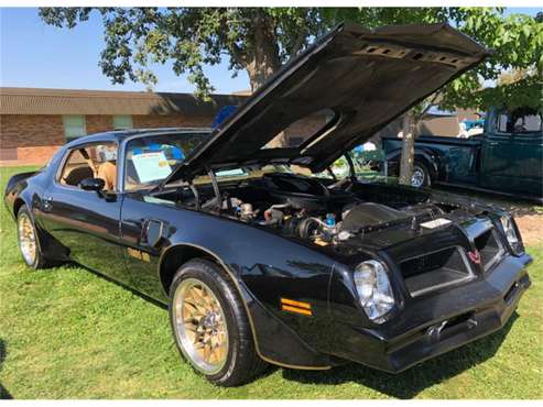 1976 Pontiac Firebird Trans Am for sale in Cadillac, MI