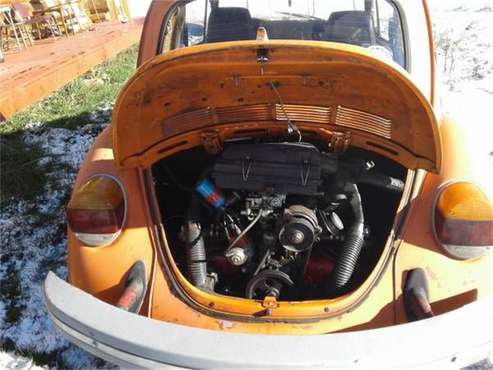 1974 Volkswagen Beetle for sale in Cadillac, MI