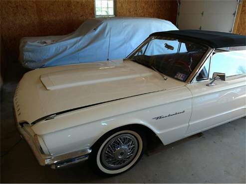1964 Ford Thunderbird for sale in Cadillac, MI