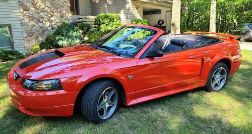 1999 Ford Mustang GT Convertible 35th Anniversary Limited Edition for sale in Lena, WI