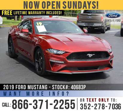2019 FORD MUSTANG ECOBOOST *** Cruise, SiriusXM, Touchscreen *** -... for sale in Alachua, FL