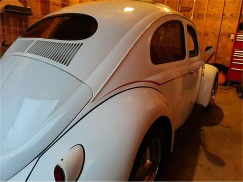 1955 Volkswagen Beetle for sale in Cadillac, MI