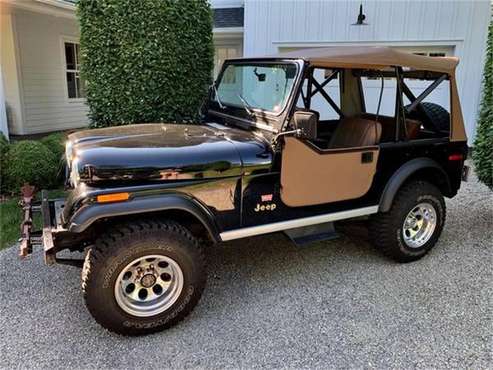 1976 Jeep CJ7 for sale in Cadillac, MI