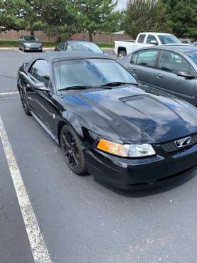 1999 Ford Mustang GT for sale in Shelby Township , MI