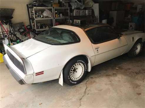 1980 Pontiac Firebird Trans Am for sale in Cadillac, MI