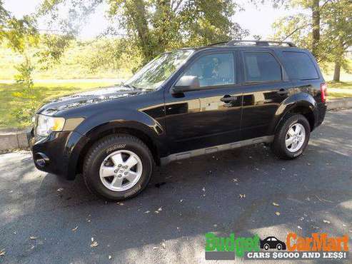 2010 Ford Escape 4WD 4dr XLT for sale in Norton, OH