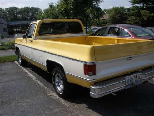 1979 Chevrolet C10 for sale in Cadillac, MI