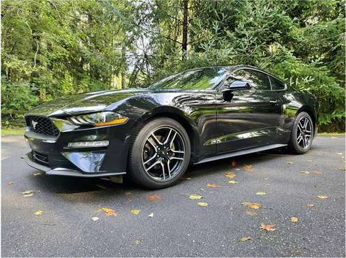 2019 Ford Mustang 2019 Ford Mustang EcoBoost Turbo RWD 6Speed Manual... for sale in Bremerton, WA