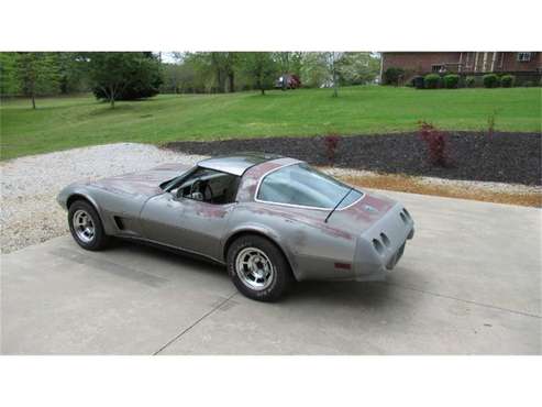 1978 Chevrolet Corvette for sale in Cadillac, MI