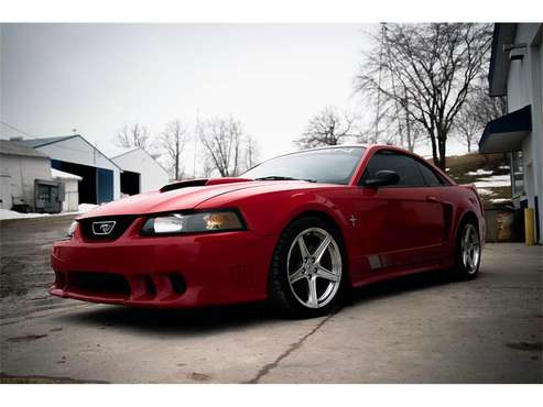 2002 Ford Mustang (Saleen) for sale in Spring Grove, MN