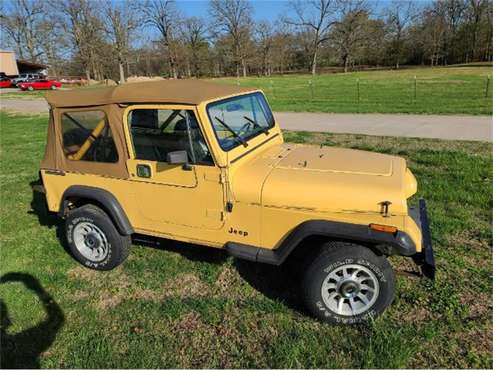 1987 Jeep Wrangler for sale in Cadillac, MI