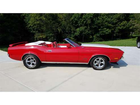 1971 Ford Mustang for sale in Danville, IN
