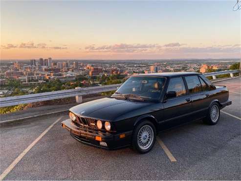 1988 BMW E28 for sale in Cadillac, MI