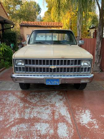 1982 Chevrolet Stepside C20 for sale in Stockton, CA – photo 3