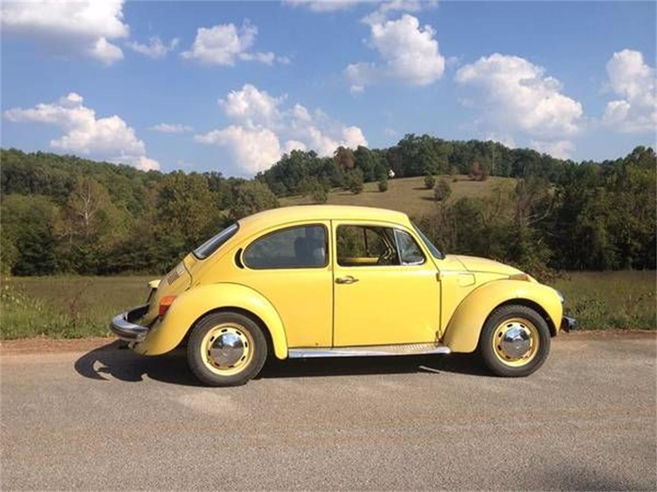 1974 Volkswagen Super Beetle for sale in Cadillac, MI – photo 12