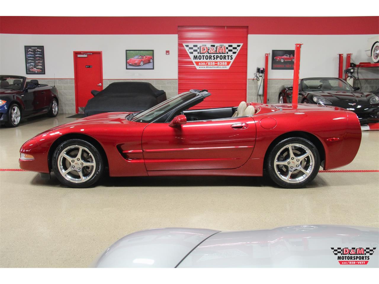 2004 Chevrolet Corvette for sale in Glen Ellyn, IL