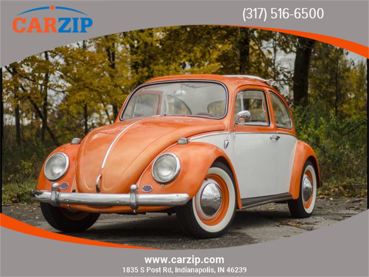 1965 Volkswagen Beetle for sale in Indianapolis, IN – photo 4