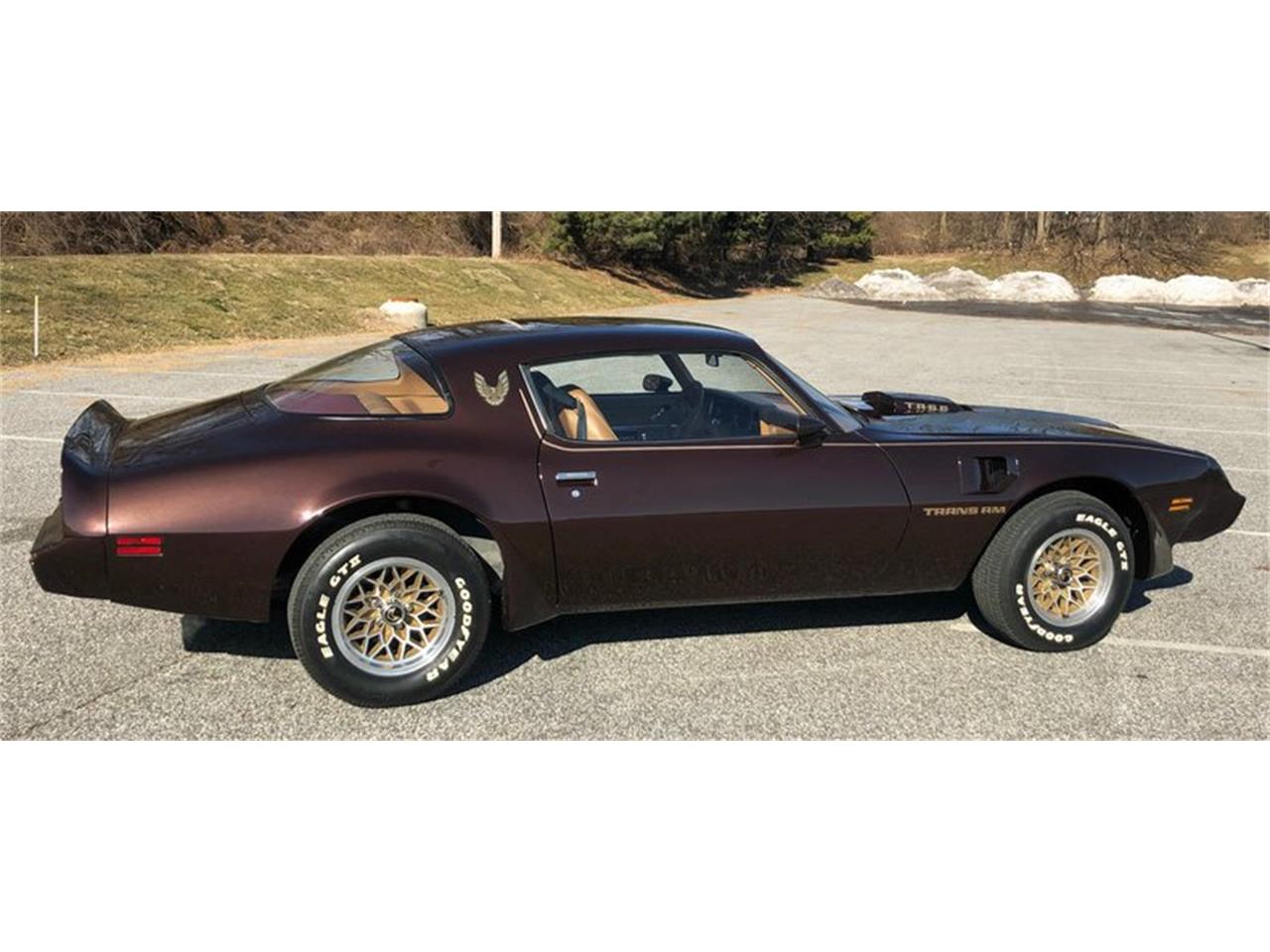 1979 Pontiac Firebird Trans Am for sale in West Chester, PA – photo 32