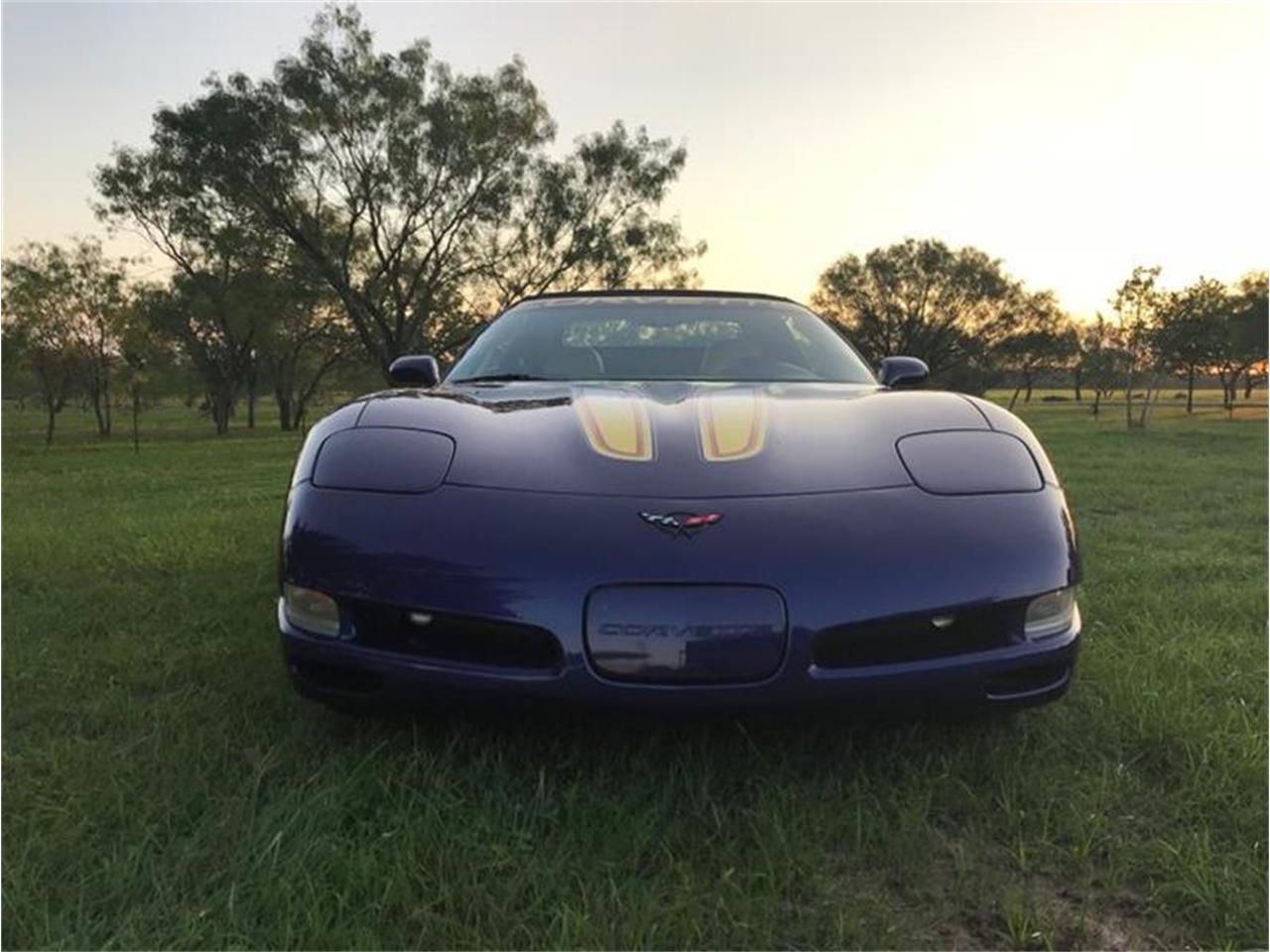 1998 Chevrolet Corvette for sale in Fredericksburg, TX – photo 26