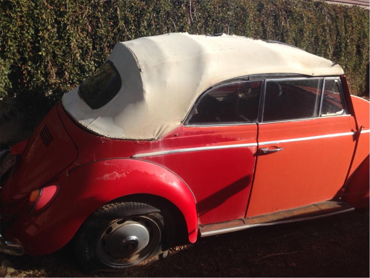 1963 Volkswagen Convertible for sale in Sierra Vista, AZ