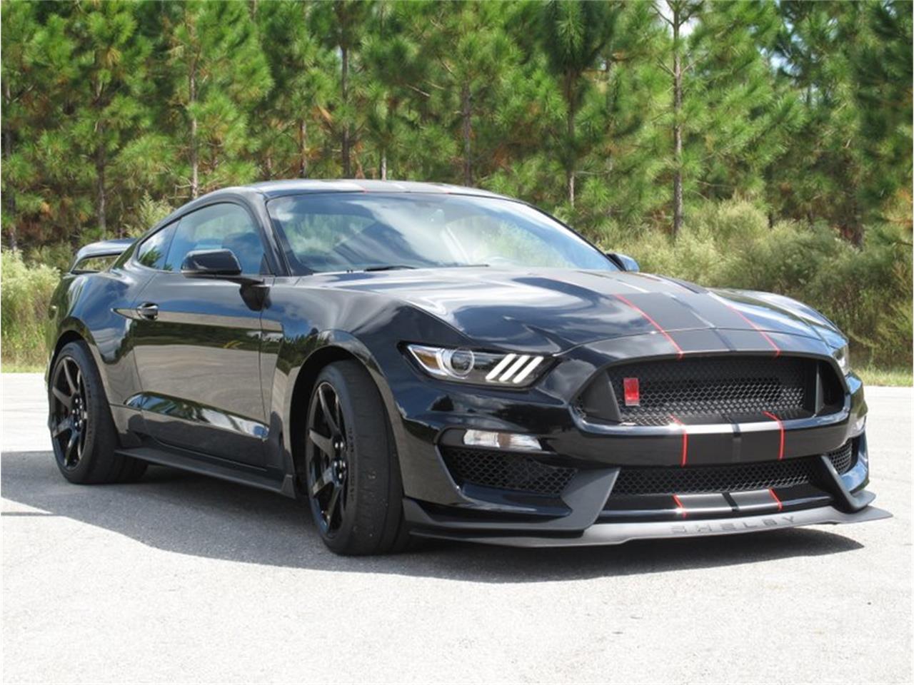 2018 Shelby GT for sale in Ocala, FL – photo 9