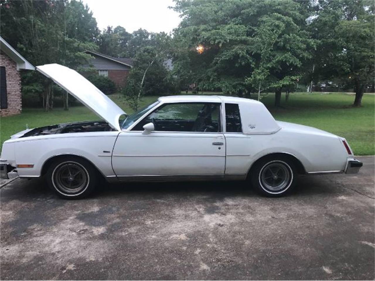 1980 Buick Regal for sale in Cadillac, MI – photo 2