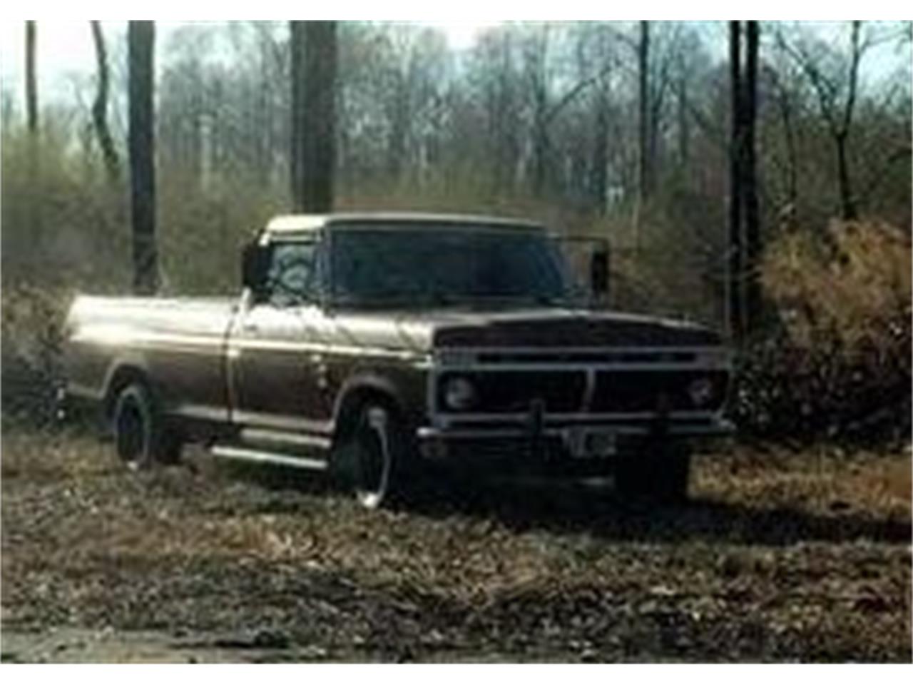 1976 Ford F150 for sale in Cadillac, MI – photo 2