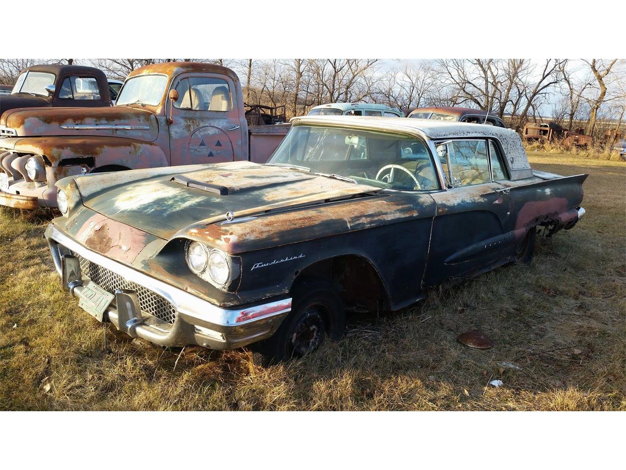 1958 Ford Thunderbird for sale in Thief River Falls, MN – photo 2